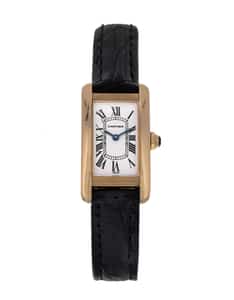 Cartier watchfinder 2025